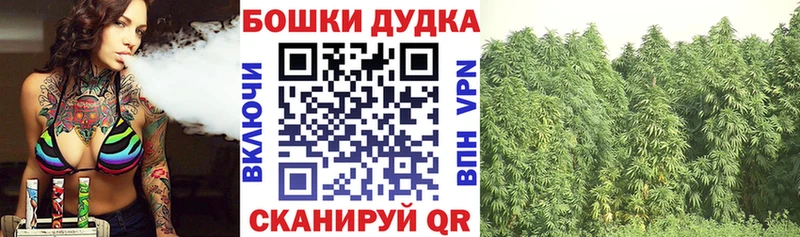Бошки Шишки MAZAR  Красный Кут 